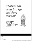 40th Birthday